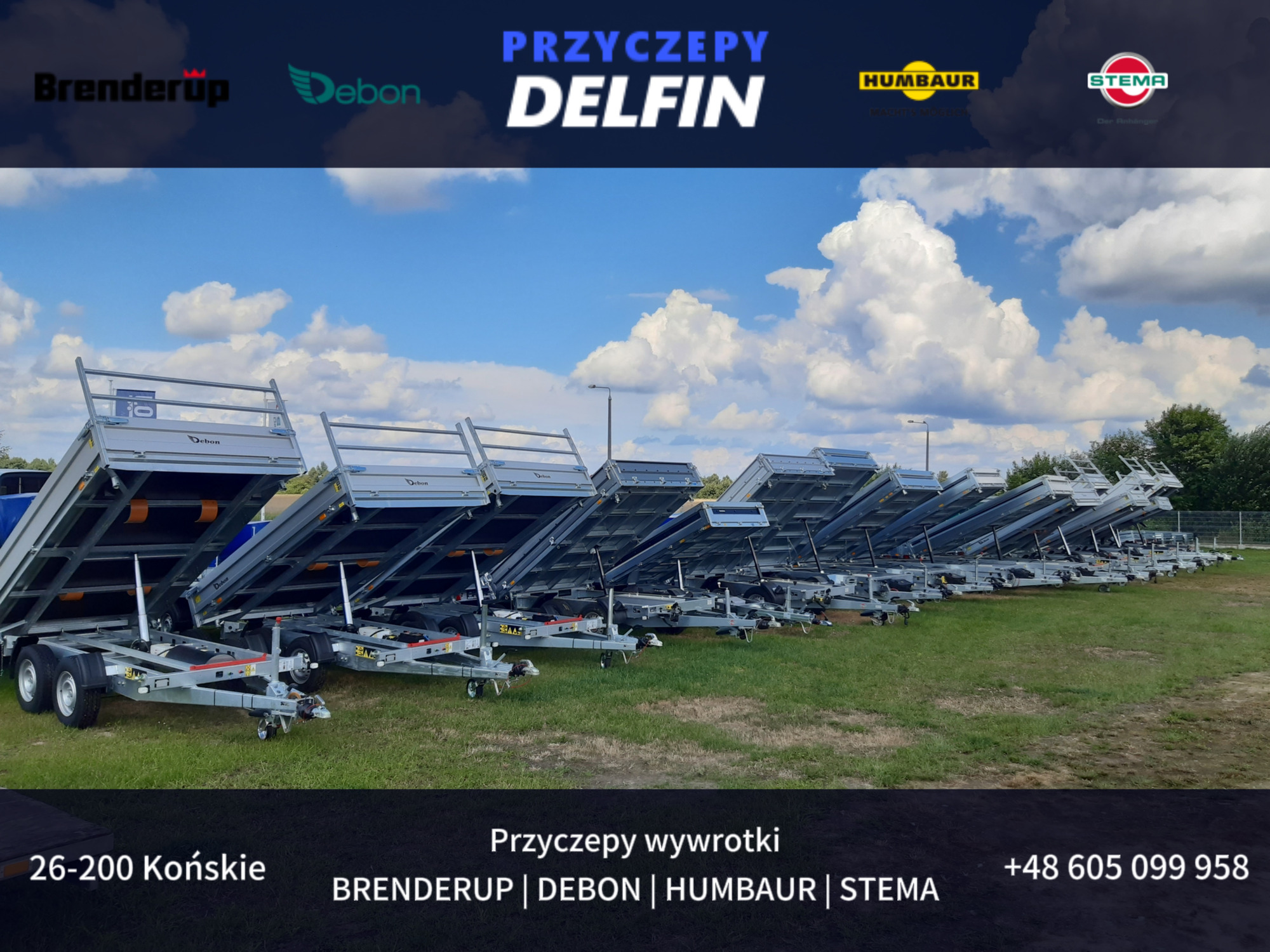 ZPHU DELFIN Gruszkiewicz Andrzej undefined: bild 2