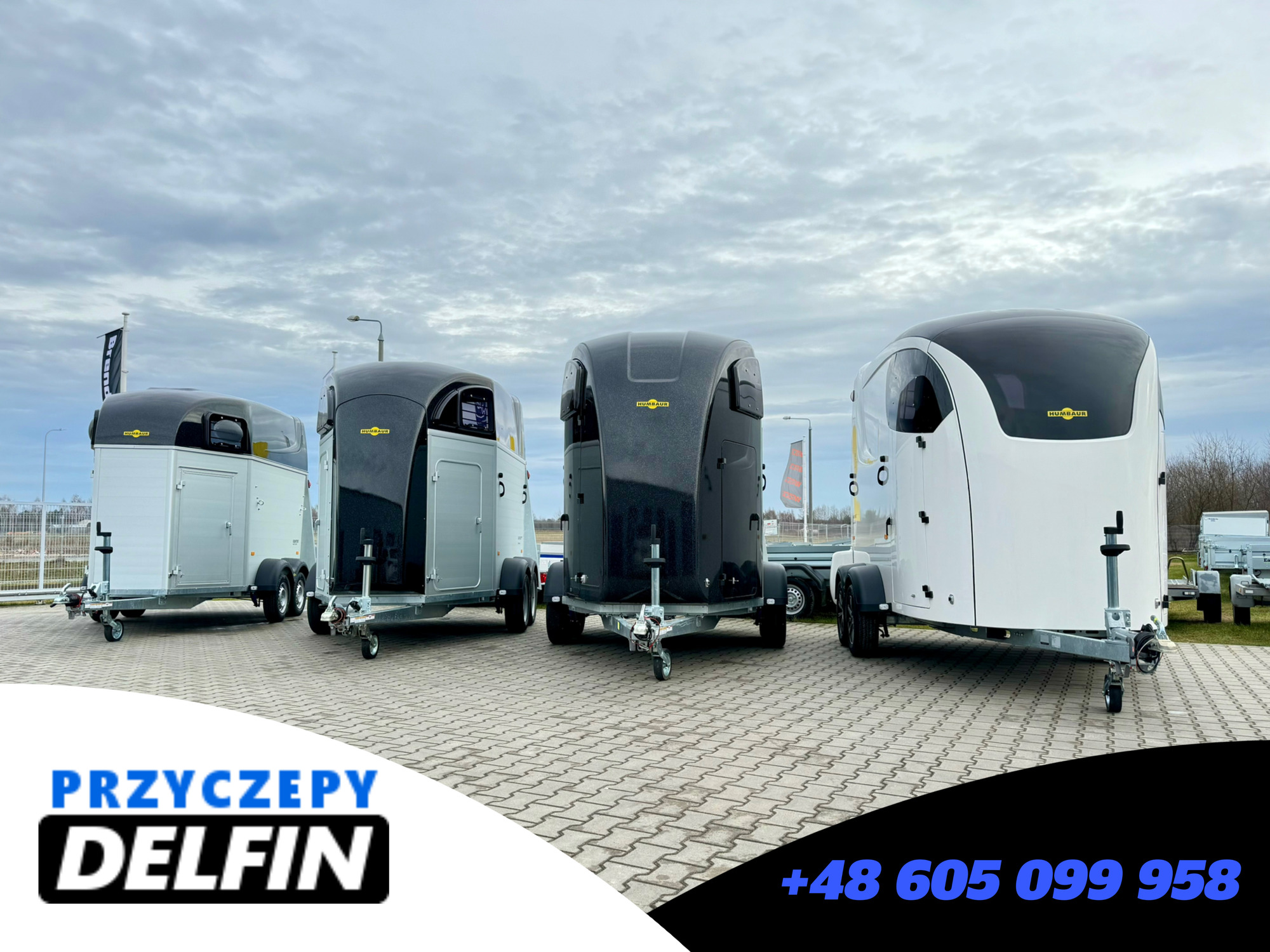 ZPHU DELFIN Gruszkiewicz Andrzej undefined: bild 4