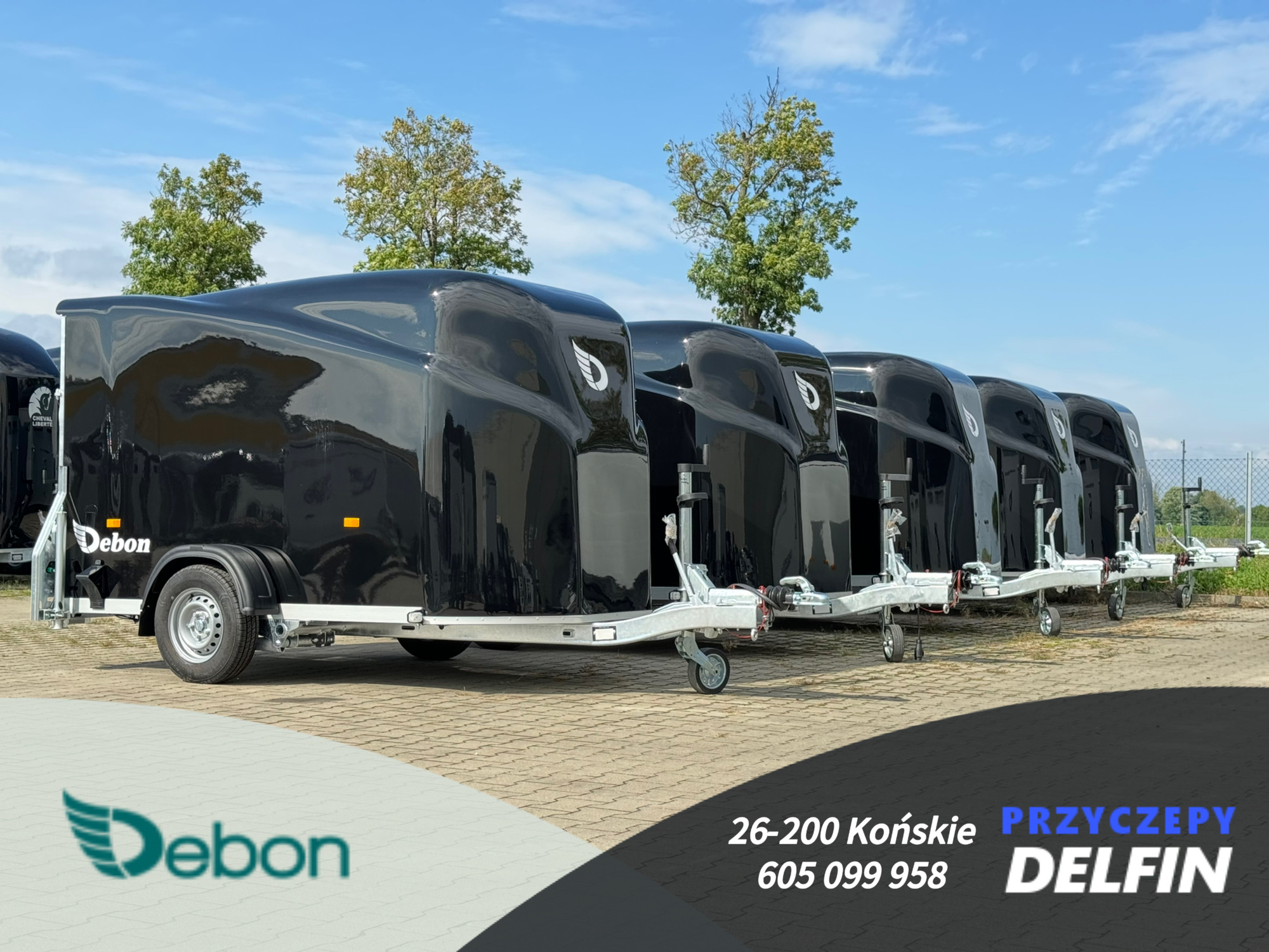 ZPHU DELFIN Gruszkiewicz Andrzej undefined: bild 6