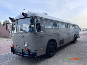 Buss CROWN Oldtimer / Jurybus / Camper 1969: bild 3 Buss CROWN Oldtimer / Jurybus / Camper 1969: bild 3