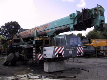 Mobilkran TEREX