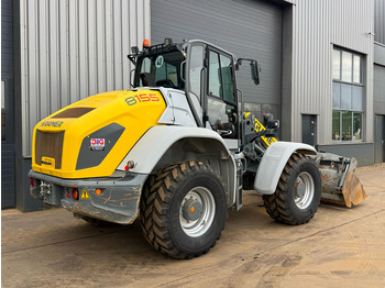 Hjullastare Kramer 8155 / Forks / bucket: bild 5