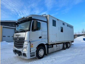 Djurtransport lastbil MERCEDES-BENZ Actros