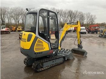 Minigrävmaskin 2023 Wacker Neuson ET20 Mini Excavator:  &lt;6.6t: bild 3