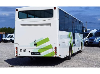 Leasa MAN Fast Starter 2011 *winda* crossway intouro recreo MAN Fast Starter 2011 *winda* crossway intouro recreo: bild 3 Leasa MAN Fast Starter 2011 *winda* crossway intouro recreo MAN Fast Starter 2011 *winda* crossway intouro recreo: bild 3