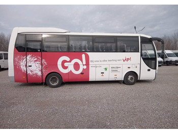 Leasa  Temsa opalin 9 2 SZTUKI IDENTYCZNE Temsa opalin 9 2 SZTUKI IDENTYCZNE: bild 5