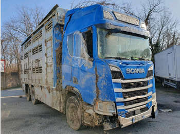 Djurtransport lastbil SCANIA R 580