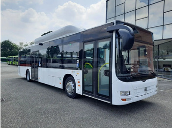 Stadsbuss MAN Lion's City A21