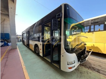 Stadsbuss MAN Lion's City