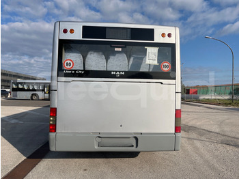 Leasa  Man Lion's Classic Man Lion's Classic: bild 5