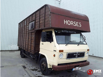 Djurtransport lastbil MAN