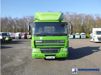 Dragbil DAF CF 75.310 4x2 RHD: bild 5