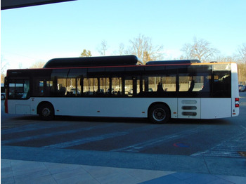 Leasa  N.4 MAN LION’S CITY CNG – Anno 2014 N.4 MAN LION’S CITY CNG – Anno 2014: bild 4