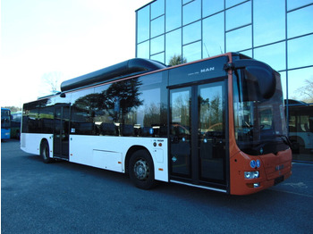 Stadsbuss MAN Lion's City