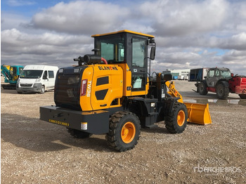 Hjullastare 2025 BLANCHE TW36 (Unused) Wheel Loader: bild 3