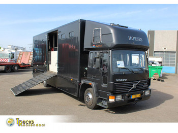 Hästbuss VOLVO FL