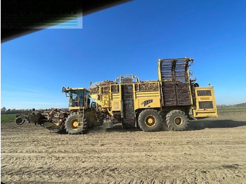 Betupptagare Ropa euro tiger: bild 4