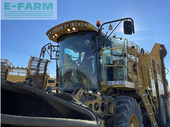 Betupptagare Ropa euro tiger: bild 5