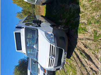 Minibuss IVECO Daily