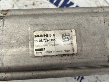 Avgassystem för Lastbil MAN TGX: bild 5