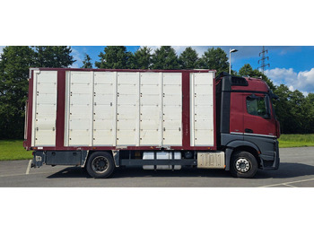 Djurtransport lastbil Mercedes-Benz Actros 1851: bild 2 Djurtransport lastbil Mercedes-Benz Actros 1851: bild 2
