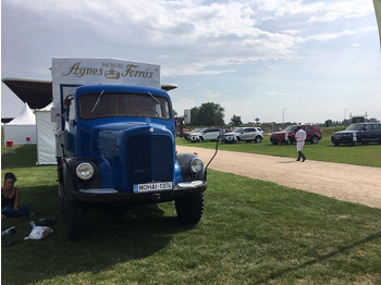 Leasa Mercedes-Benz LAF-311 Mercedes-Benz LAF-311: bild 3 Leasa Mercedes-Benz LAF-311 Mercedes-Benz LAF-311: bild 3