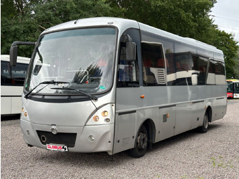 Minibuss IVECO Rapido