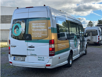 Stadsbuss Mercedes-Benz Easy- Sprinter Cityline L 516 CDi  (EEV.): bild 3
