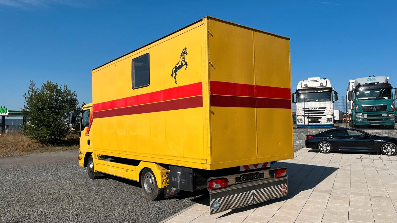 MAN TGL 10.180 Euro 4 Pferdetransporter Horse MAN TGL 10.180 Euro 4 Pferdetransporter Horse - Hästbuss: bild 5 MAN TGL 10.180 Euro 4 Pferdetransporter Horse MAN TGL 10.180 Euro 4 Pferdetransporter Horse - Hästbuss: bild 5