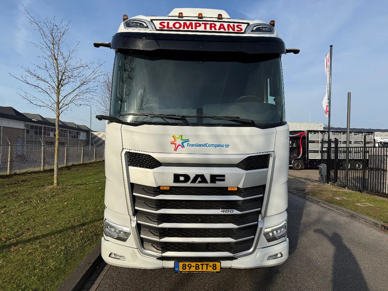 DAF XF 480 2023 XG 480 - Dragbil: bild 5 DAF XF 480 2023 XG 480 - Dragbil: bild 5