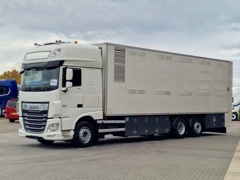 DAF XF 440 SuperSpaceCab 6x2*4 - 2 deck Closed Livestock - 40M2 - Filtersystem - Djurtransport lastbil: bild 3 DAF XF 440 SuperSpaceCab 6x2*4 - 2 deck Closed Livestock - 40M2 - Filtersystem - Djurtransport lastbil: bild 3
