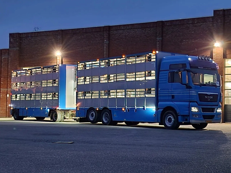 MAN TGX 26.440 6x2*4 - 3 deck Livestock - Water & Ventilation + Jumbo/Bekkers 3 deck trailer - Djurtransport lastbil: bild 2 MAN TGX 26.440 6x2*4 - 3 deck Livestock - Water & Ventilation + Jumbo/Bekkers 3 deck trailer - Djurtransport lastbil: bild 2