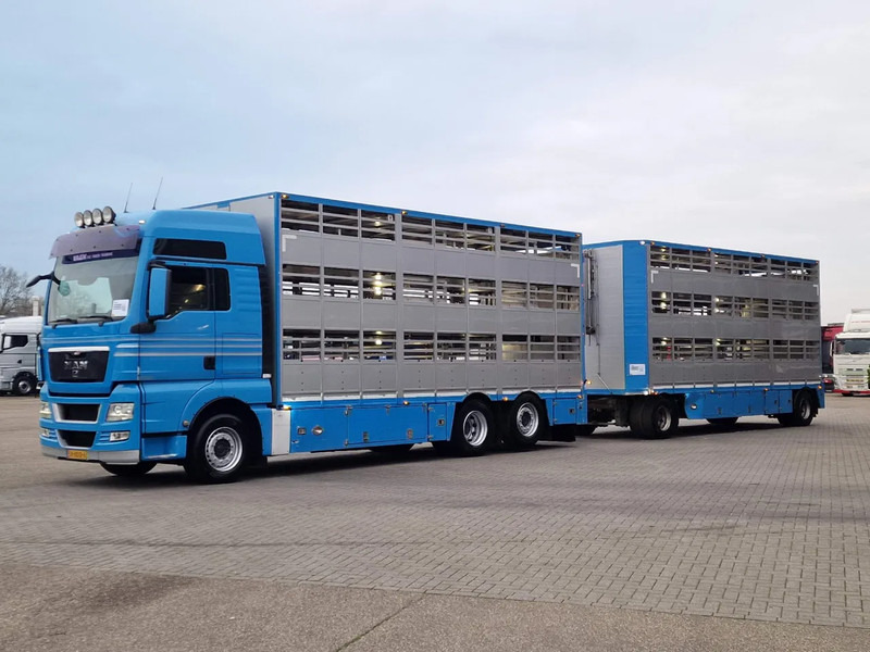 MAN TGX 26.440 6x2*4 - 3 deck Livestock - Water & Ventilation + Jumbo/Bekkers 3 deck trailer - Djurtransport lastbil: bild 4 MAN TGX 26.440 6x2*4 - 3 deck Livestock - Water & Ventilation + Jumbo/Bekkers 3 deck trailer - Djurtransport lastbil: bild 4