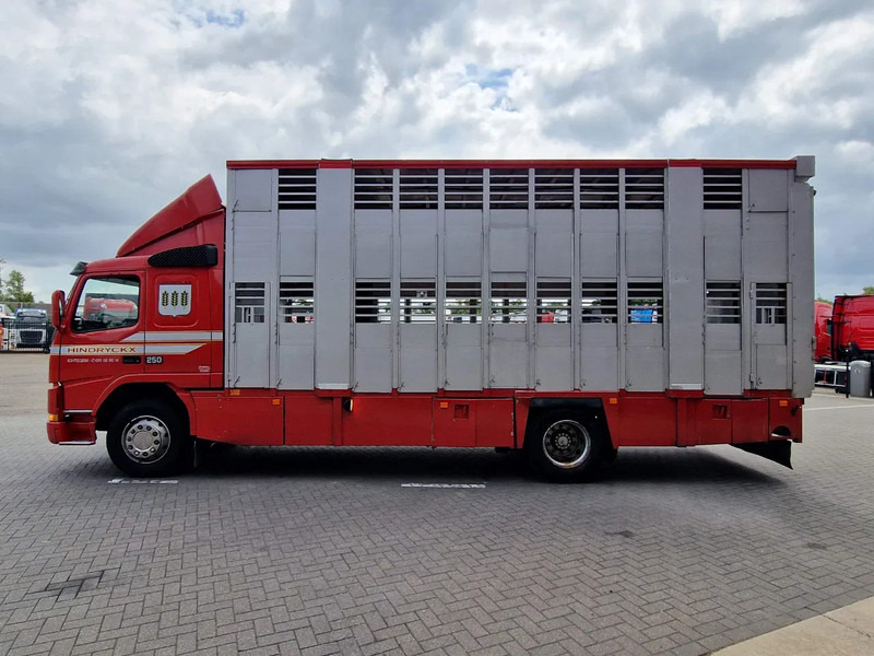 Volvo FM 250 4x- Livestock 2 deck - Lifting floors - Loadlift - Manual gearbox - Djurtransport lastbil: bild 4 Volvo FM 250 4x- Livestock 2 deck - Lifting floors - Loadlift - Manual gearbox - Djurtransport lastbil: bild 4