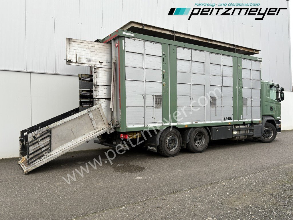 Scania G 450 6x2, Kaba 3-Stock, Hubdach Lenk + Lift, - Djurtransport lastbil: bild 4 Scania G 450 6x2, Kaba 3-Stock, Hubdach Lenk + Lift, - Djurtransport lastbil: bild 4