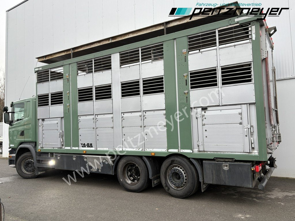 Scania G 450 6x2, Kaba 3-Stock, Hubdach Lenk + Lift, - Djurtransport lastbil: bild 3 Scania G 450 6x2, Kaba 3-Stock, Hubdach Lenk + Lift, - Djurtransport lastbil: bild 3