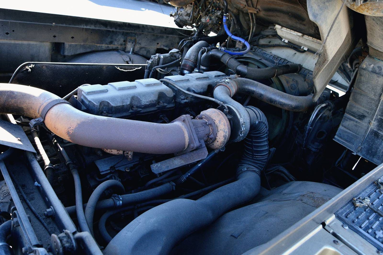 Dragbil RENAULT Magnum 440: bild 14