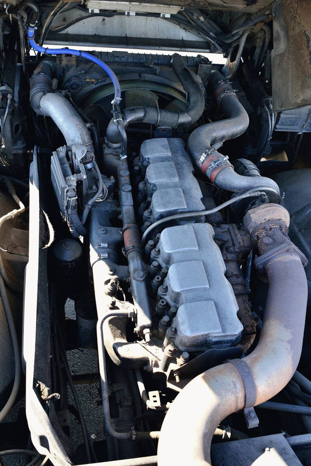 Dragbil RENAULT Magnum 440: bild 12