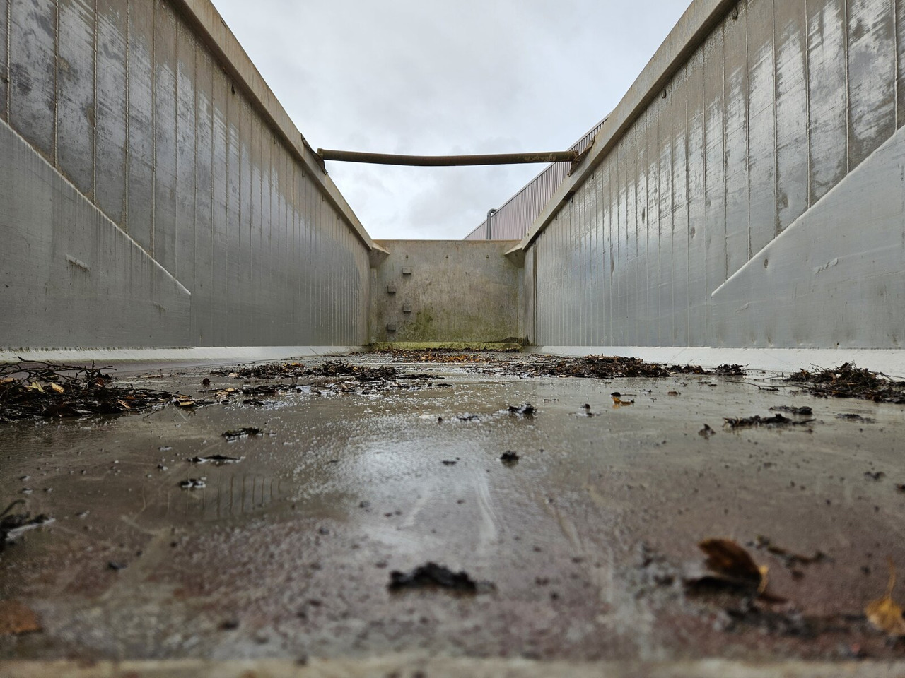 Reisch RHKS-32/18 AL RHKS-32/18 AL, 40 cbm Alu Kastenmulde - Semitrailer: bild 4 Reisch RHKS-32/18 AL RHKS-32/18 AL, 40 cbm Alu Kastenmulde - Semitrailer: bild 4