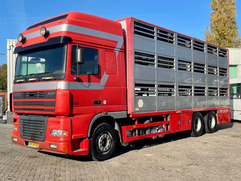 DAF XF 95.430 BERDEX 3 decks. Water, fans, Scales! Excellent condition. - Djurtransport lastbil: bild 2 DAF XF 95.430 BERDEX 3 decks. Water, fans, Scales! Excellent condition. - Djurtransport lastbil: bild 2