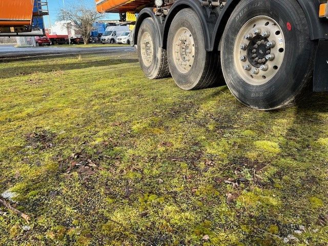 Leasa Schmitz Cargobull SKI 24 7,2 Alu Kastenmulde Verschleißboden neu Schmitz Cargobull SKI 24 7,2 Alu Kastenmulde Verschleißboden neu Schmitz Cargobull SKI 24 7,2 Alu Kastenmulde Verschleißboden neu Schmitz Cargobull SKI 24 7,2 Alu Kastenmulde Verschleißboden neu: bild 16 Leasa Schmitz Cargobull SKI 24 7,2 Alu Kastenmulde Verschleißboden neu Schmitz Cargobull SKI 24 7,2 Alu Kastenmulde Verschleißboden neu Schmitz Cargobull SKI 24 7,2 Alu Kastenmulde Verschleißboden neu Schmitz Cargobull SKI 24 7,2 Alu Kastenmulde Verschleißboden neu: bild 16