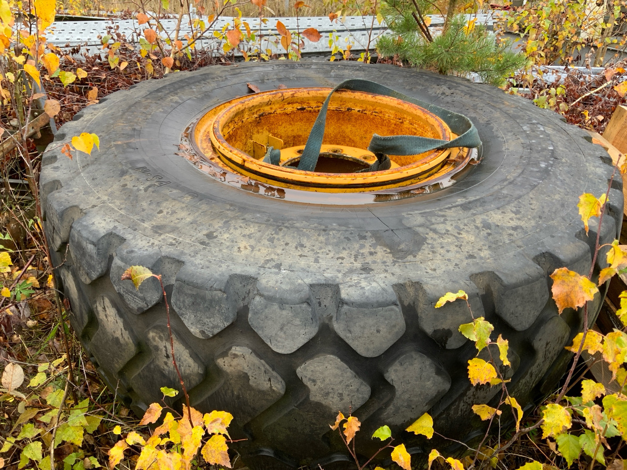 Michelin  - Däck för Byggmaskiner: bild 1 Michelin  - Däck för Byggmaskiner: bild 1