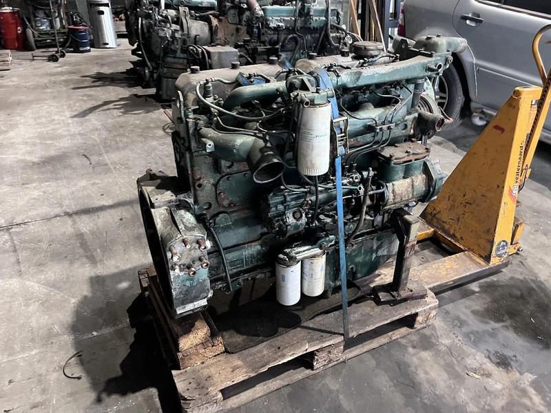 DAF DHU 825 meerdere op voorraad - Motor för Lastbil: bild 2 DAF DHU 825 meerdere op voorraad - Motor för Lastbil: bild 2