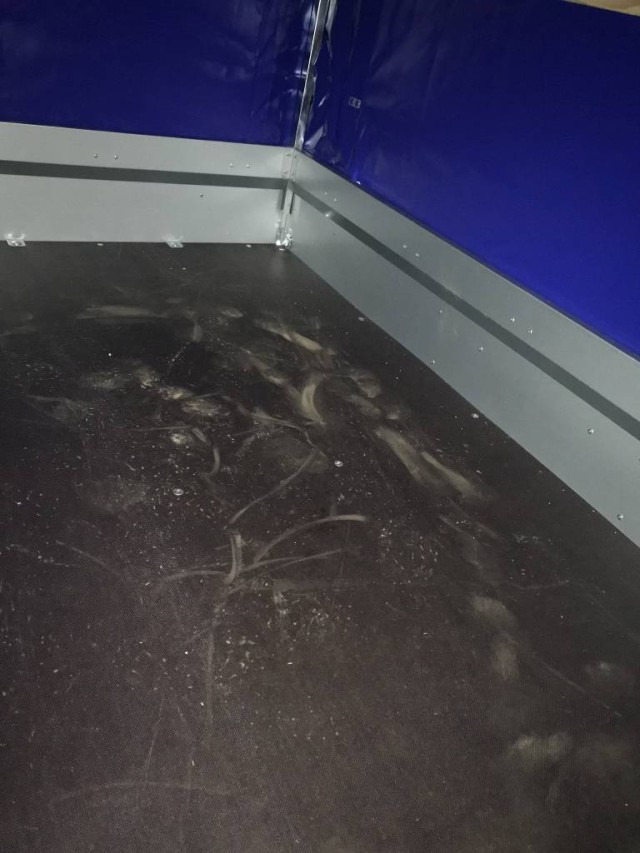 Humbaur Steely mit Hochplane 140 cm, 750 kg 2050x1095x300mm - Bilsläp: bild 4 Humbaur Steely mit Hochplane 140 cm, 750 kg 2050x1095x300mm - Bilsläp: bild 4