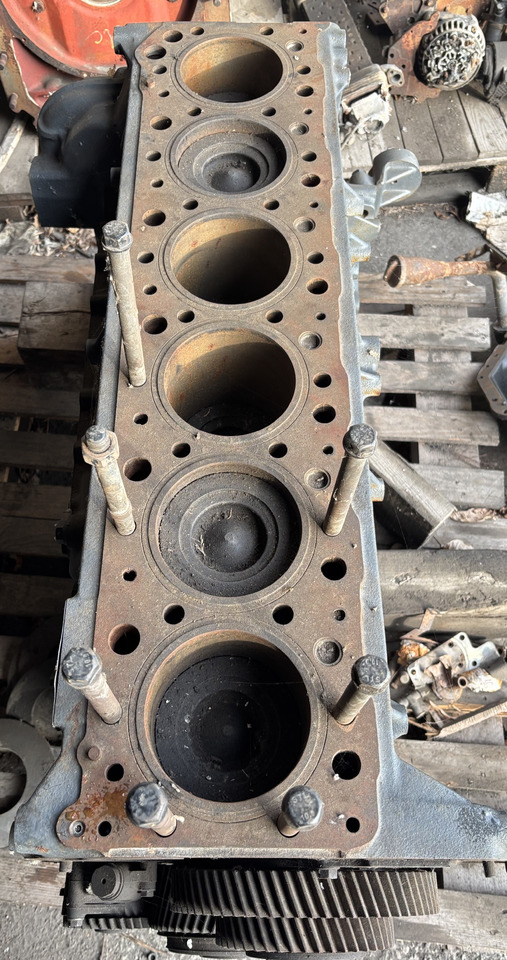 IVECO Stralis Cursor 10 THM Blok Wał Słupek Silnika Miska Olejowa 500334227 - Cylinderblock för Lantbruksmaskiner: bild 4 IVECO Stralis Cursor 10 THM Blok Wał Słupek Silnika Miska Olejowa 500334227 - Cylinderblock för Lantbruksmaskiner: bild 4