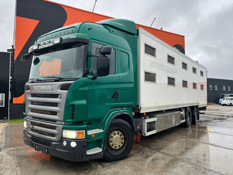 Scania G 480 6x2*4 BOX L=9212 mm / COOLANT LEAKAGE ON 3 RD CYLINDER - Djurtransport lastbil: bild 2 Scania G 480 6x2*4 BOX L=9212 mm / COOLANT LEAKAGE ON 3 RD CYLINDER - Djurtransport lastbil: bild 2