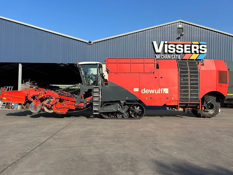 Dewulf Dewulf Kwatro - Potatisupptagare: bild 1 Dewulf Dewulf Kwatro - Potatisupptagare: bild 1