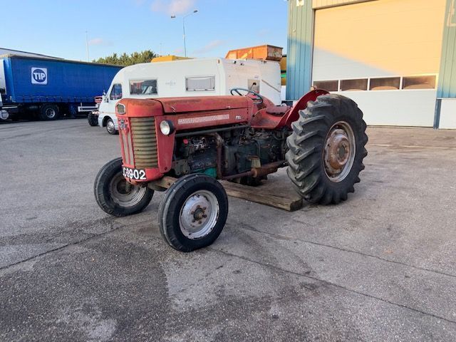 Massey Ferguson 65 / ebro - Traktor: bild 1 Massey Ferguson 65 / ebro - Traktor: bild 1