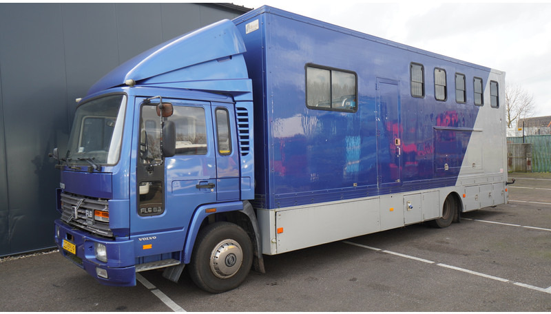Volvo FL 6-9 HORSE TRANSPORT 341.000KM MANUAL GEARBOX - Hästbuss: bild 3 Volvo FL 6-9 HORSE TRANSPORT 341.000KM MANUAL GEARBOX - Hästbuss: bild 3