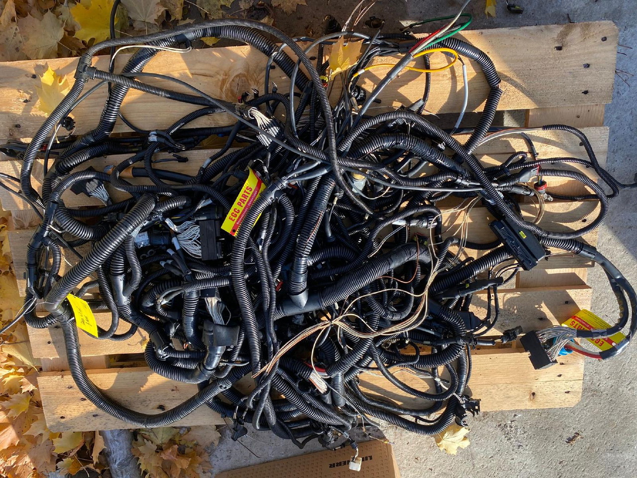 Case WX 165 - Kablar/ Ledningar för Byggmaskiner: bild 3 Case WX 165 - Kablar/ Ledningar för Byggmaskiner: bild 3